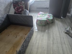 дезинфекция дезинфекция